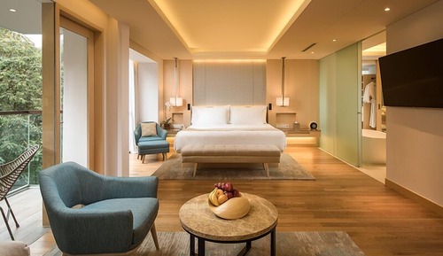 Premier Suite, 1 King Bed