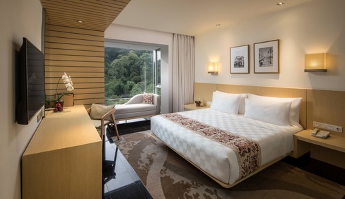 Premier Room, 1 King Bed