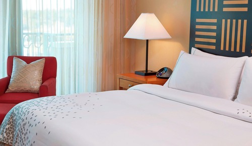 Room, 1 King Bed, Allergy Friendly
