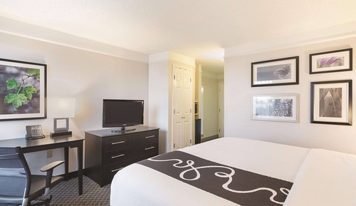 Room, 1 King Bed, Non Smoking (Walk-In Shower)
