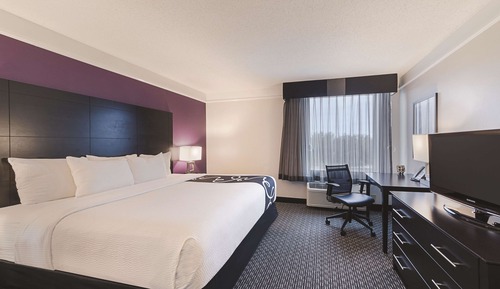 Room, 1 King Bed, Non Smoking, Bathtub