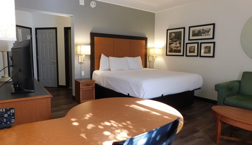 Superior Room, 1 King Bed, Non Smoking (Executive)