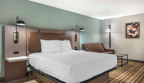 Standard Room, 1 King Bed, Non Smoking, Refrigerator & Microwave (with Sofabed)