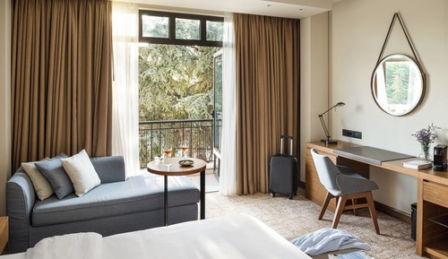 Room, 1 King Bed