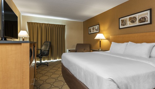 Room, 1 King Bed, Non Smoking, Refrigerator (Upgrade)