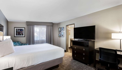 Room, 1 King Bed