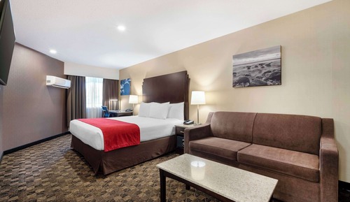 Standard Room, 1 King Bed with Sofa bed, Non Smoking, Kitchenette (with Sofabed)