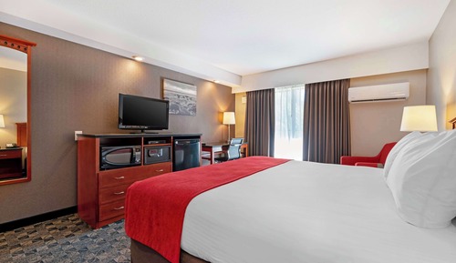 Standard Room, 1 King Bed, Accessible, Refrigerator