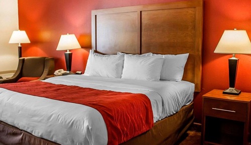 Standard Room, 1 King Bed, Non Smoking