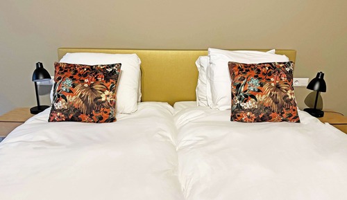 Comfort Room, 2 Twin Beds, Non Smoking (with Sofabed)