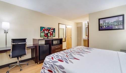 Deluxe Room, 1 King Bed, Non Smoking
