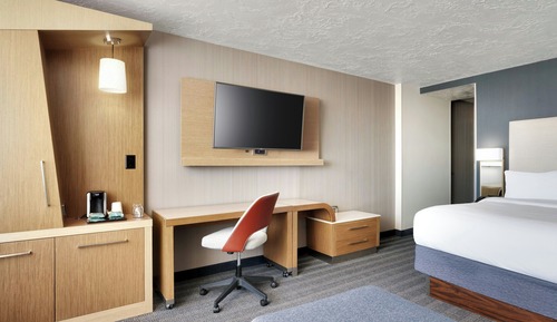 Room, 1 King Bed with Sofa bed