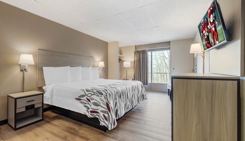 Deluxe Room, 1 King Bed, Non Smoking