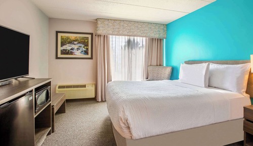 Room, 1 Queen Bed, Non Smoking (Mobility, Roll-in Shower)