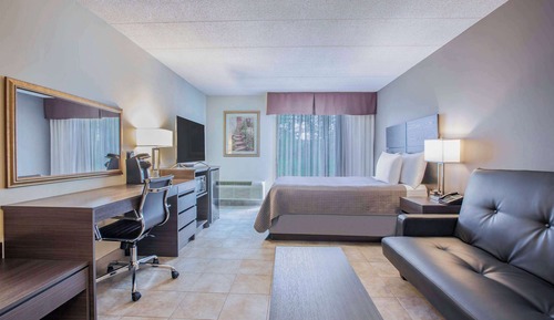 Room, 1 Queen Bed, Non Smoking (Pet-friendly)