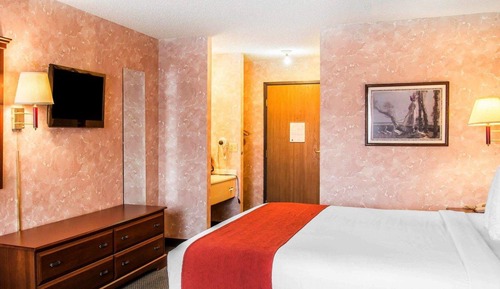 Standard Room, 1 King Bed, Non Smoking
