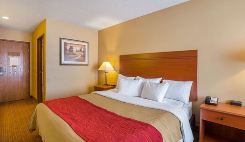 Standard Room, 1 King Bed, Non Smoking