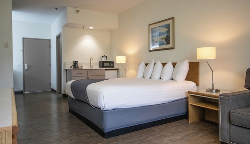 Basic Room, 1 King Bed with Sofa bed, Non Smoking