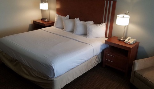 Standard Room, 1 King Bed, Non Smoking, Refrigerator & Microwave