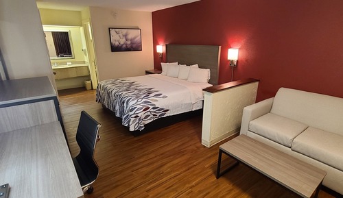 Superior Room, 1 King Bed, Non Smoking