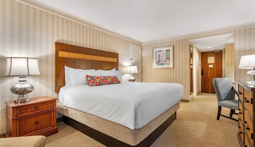 Suite, 1 King Bed (Bayfront Omni Suite)