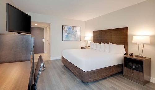 Standard Room, 1 King Bed, Non Smoking, Refrigerator & Microwave