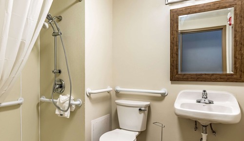 Room, 1 King Bed, Accessible, Non Smoking (Roll-In Shower)