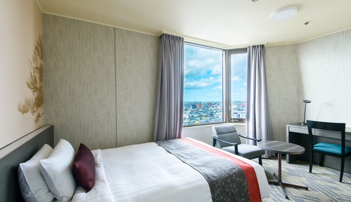 Business Single Room, Non Smoking (19sqm, Bed width 120cm)