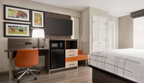 Deluxe Room, 1 King Bed, Non Smoking