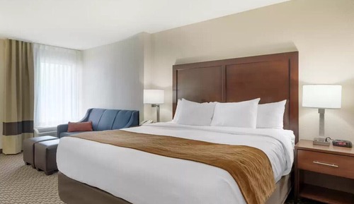 Standard Room, 1 King Bed, Non Smoking
