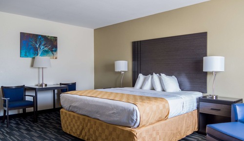 Standard Room, 1 King Bed, Accessible, Non Smoking