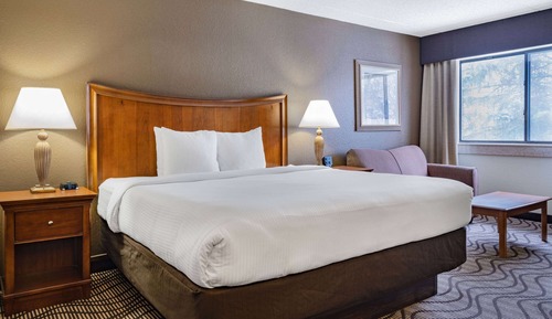 Executive Room, 1 King Bed, Non Smoking, View (Forest View)