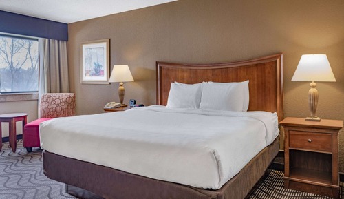 Room, 1 King Bed, Non Smoking