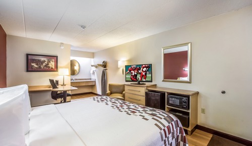 Superior Room, 1 King Bed, Non Smoking