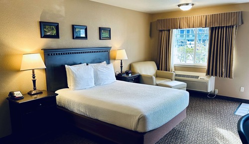 Standard Room, 1 Queen Bed, Accessible, Non Smoking (Walk-in Shower)