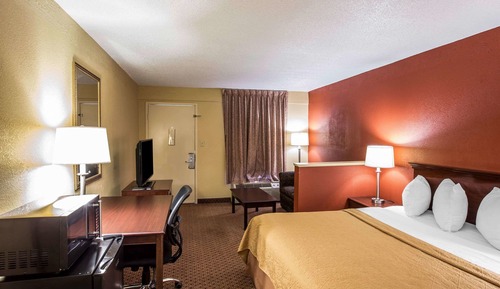 Standard Room, 1 King Bed with Sofa bed, Non Smoking