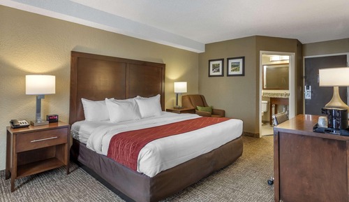 Standard Room, 1 King Bed with Sofa bed, Non Smoking (Shower Tub)