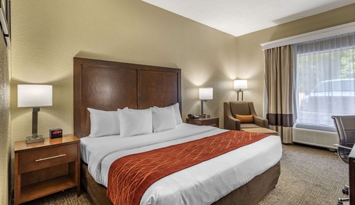 Room, 1 King Bed, Accessible, Non Smoking