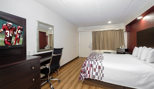 Room, 1 King Bed, Accessible, Non Smoking (Roll-In Shower)