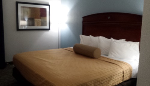 Standard Room, 1 Double Bed, Accessible