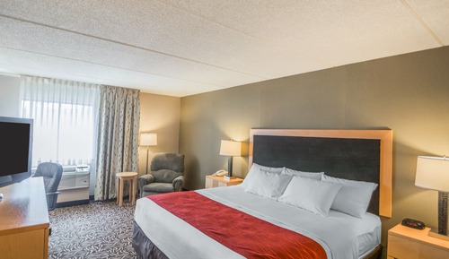 Standard Room, 1 King Bed, Non Smoking