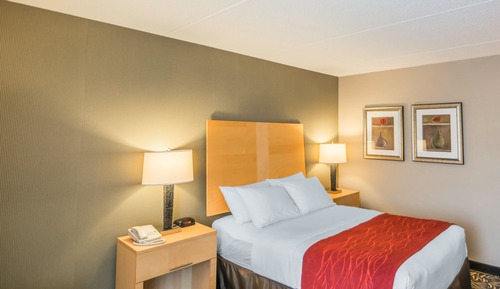 Room, 1 Double Bed, Accessible, Non Smoking