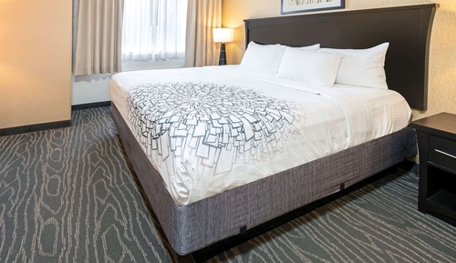 Deluxe Studio Suite, 1 Queen Bed, Non Smoking