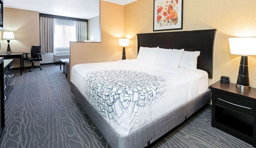 Executive Room, 1 King Bed, Non Smoking, Mountain View