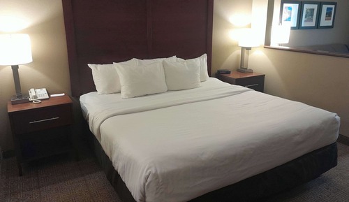 Standard Room, 1 King Bed, Non Smoking