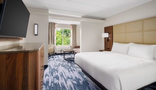 Executive Suite, 1 King Bed with Sofa bed