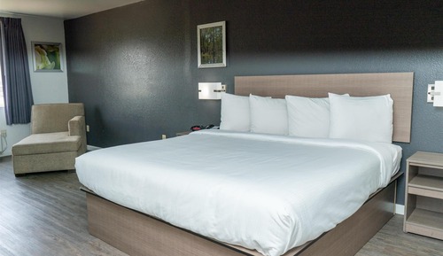 Room, 1 King Bed