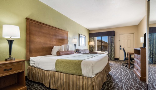 Standard Room, 1 King Bed, Smoking, Refrigerator & Microwave