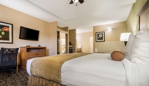 Standard Room, 1 King Bed with Sofa bed, Non Smoking, Jetted Tub (with Sofabed)