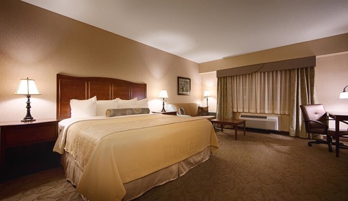 Standard Room, 1 Queen Bed, Non Smoking (Larger Room;with Sofabed)